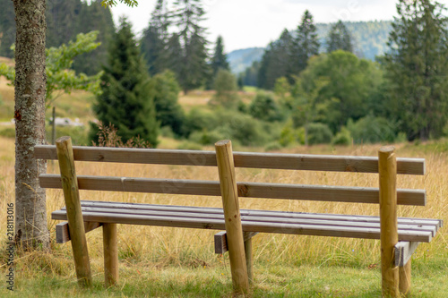 Wooden bench outside in the nature of the Black Forest