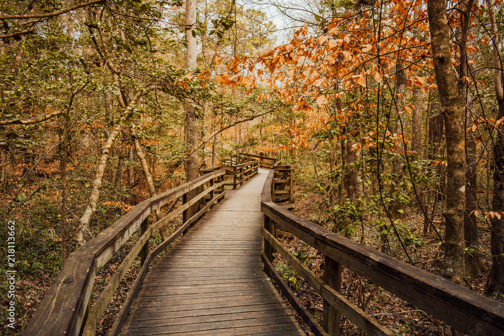 Finding the way