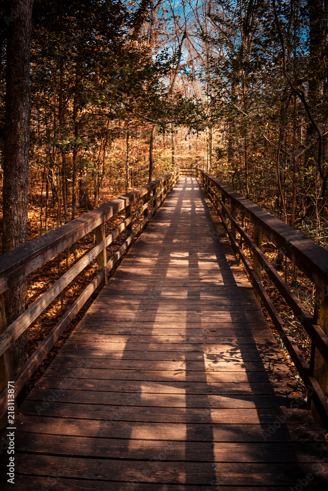 Obraz premium Finding the way