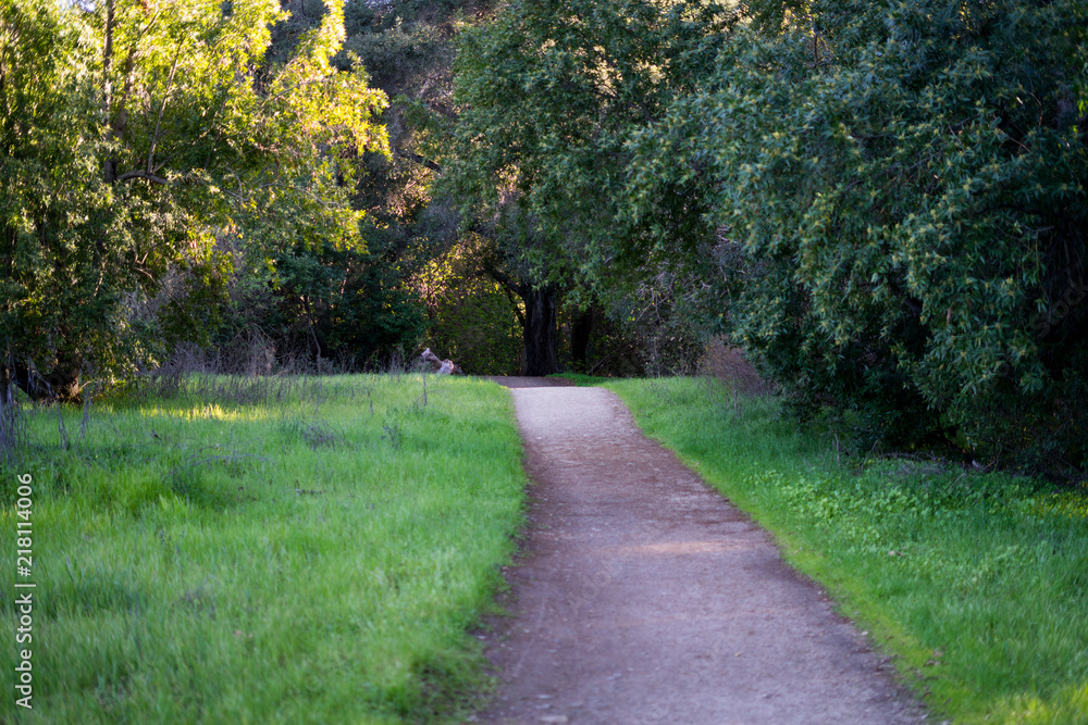 Hiking trail in the park in spring