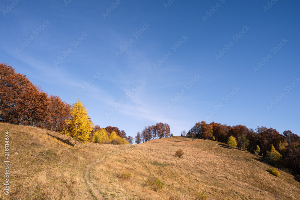 Autumn landscape with a road in the mountains Autumn landscape with a road in the mountains