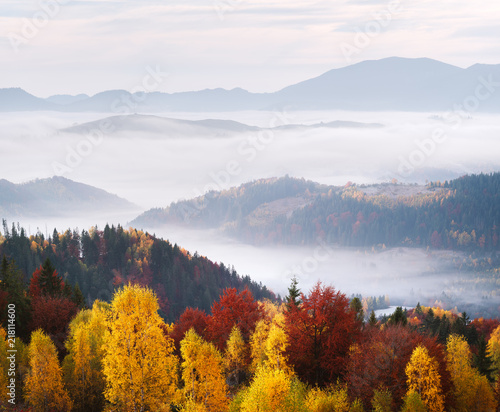 Autumn landscape with forest and mountains