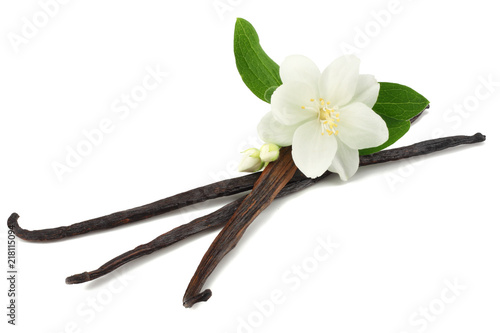 Photography Vanilla sticks with white flower isolated on white background