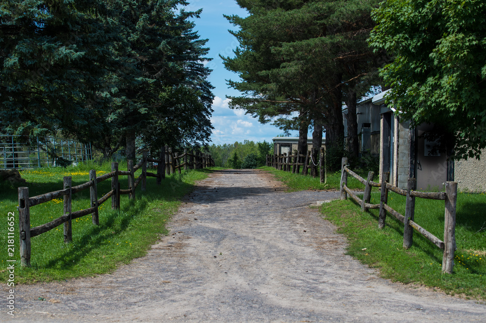 Fototapeta premium Horse Farm