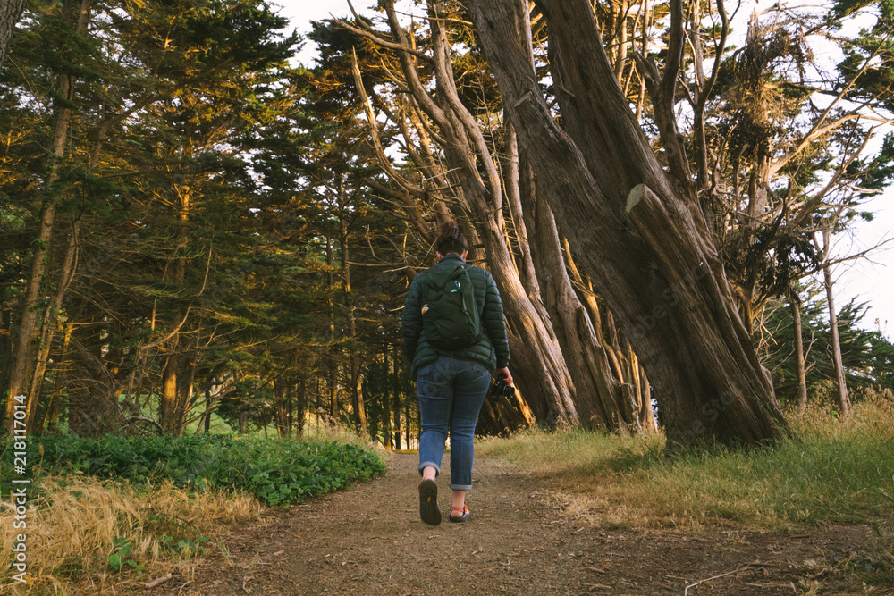 Obraz premium San Francisco 