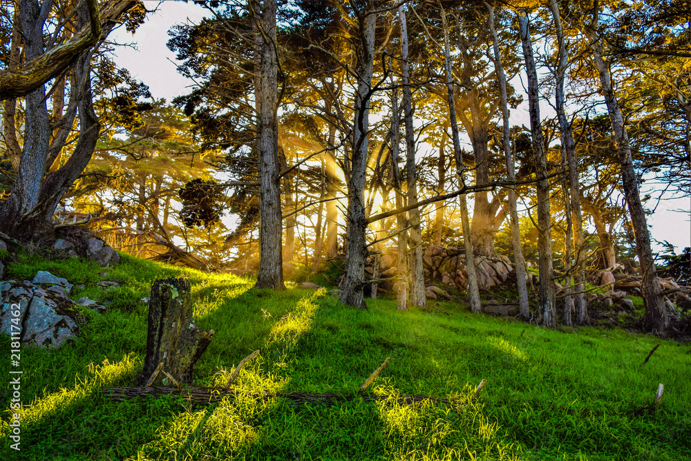 Sunrays