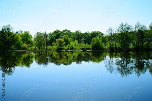 Fototapeta Naklejka Na Ścianę i Meble -   Mirror reflection of a forest in a river