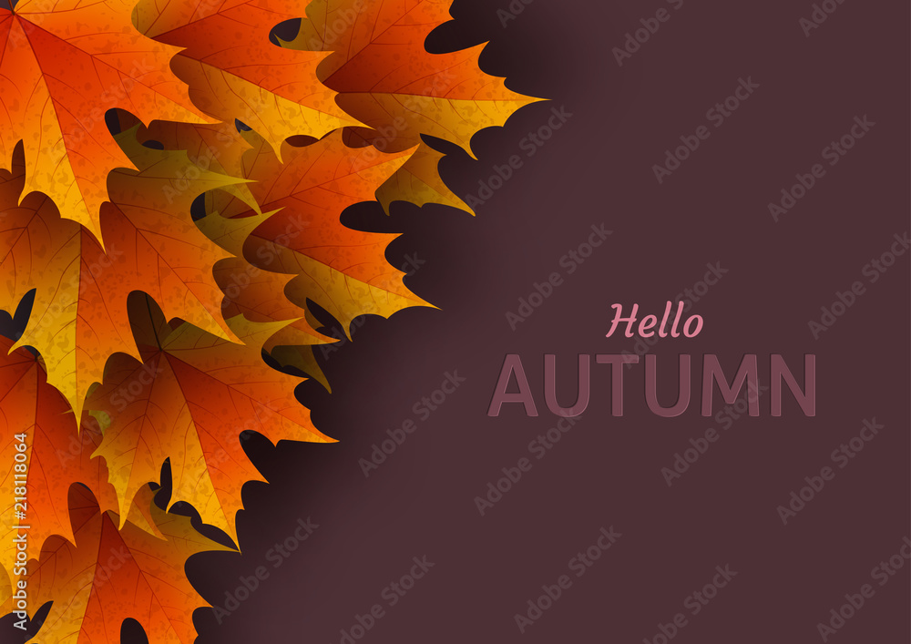 Autumn leaves Bright colourful autumn oak leaves Template for Stock Autumn leaves Bright colourful autumn oak leaves Template for Stock