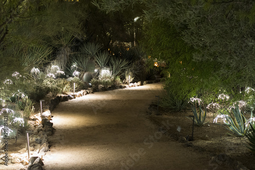 Desert Botanical Gardens