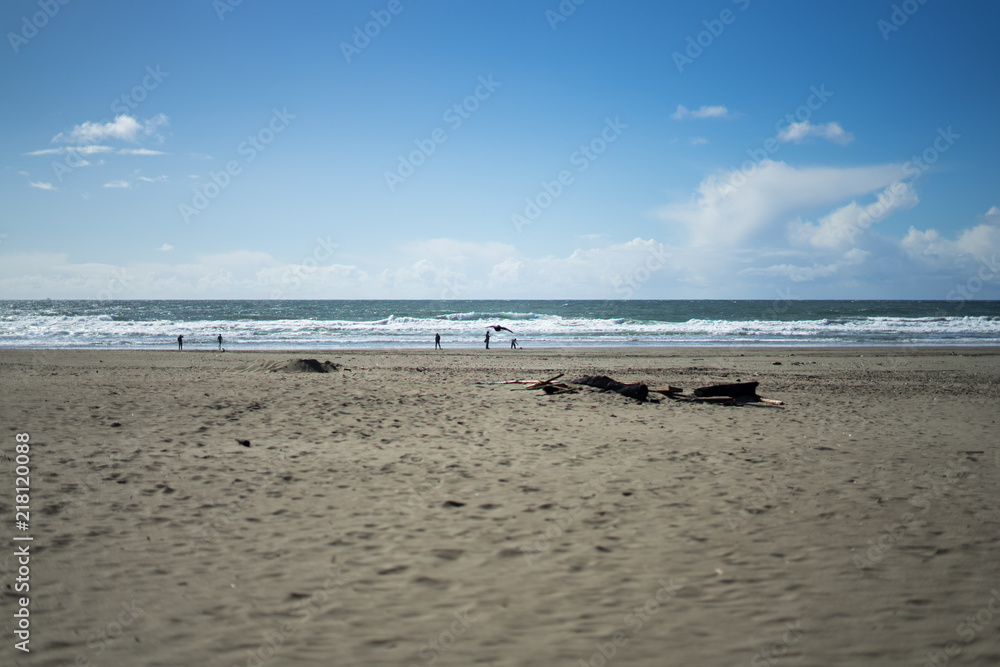 Lands End, San Franciscos