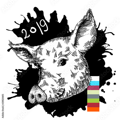 Hand drawn vector illustration pig sketch. Symbol of new year 2019