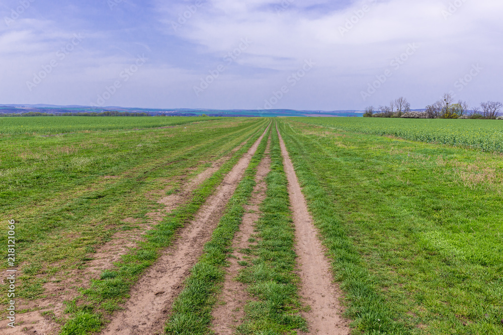 Runway of a field airport on Naklo hill near Milotice, moravia in Czech Republic