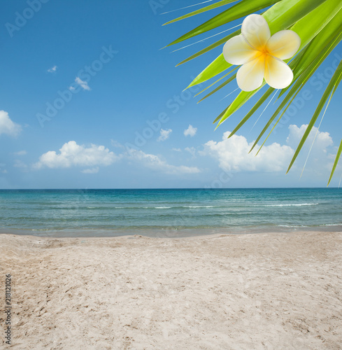 Wonderful tropical beach, blue sea, sun, sand, sky and green leaves © artmim