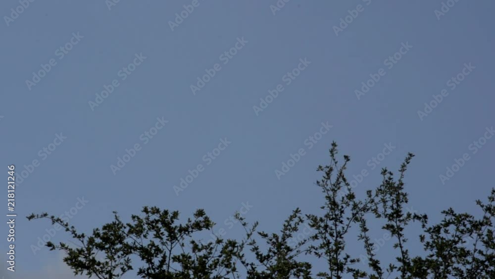 Clouds moving by in the sky. Clouds moving by in the sky.