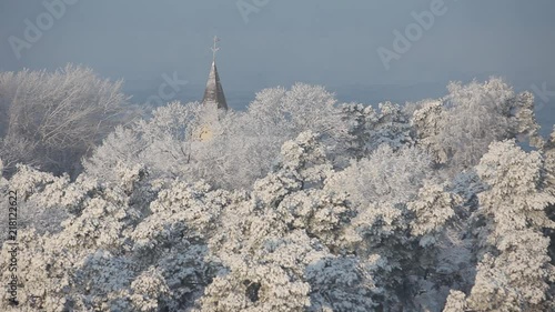 White snow lies on the branches of the tops of a pine tree and is eaten on a sunny day photo