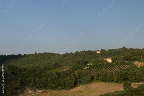 vineyard agriculture landscape hill panorama italy sky horizon countryside summer rural