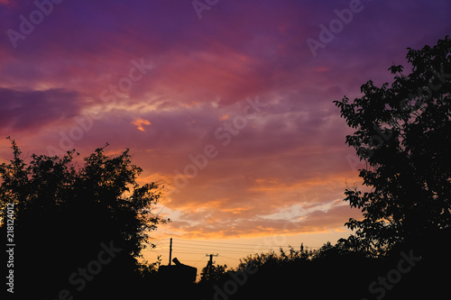 Silhouette of the forest in the night sky
