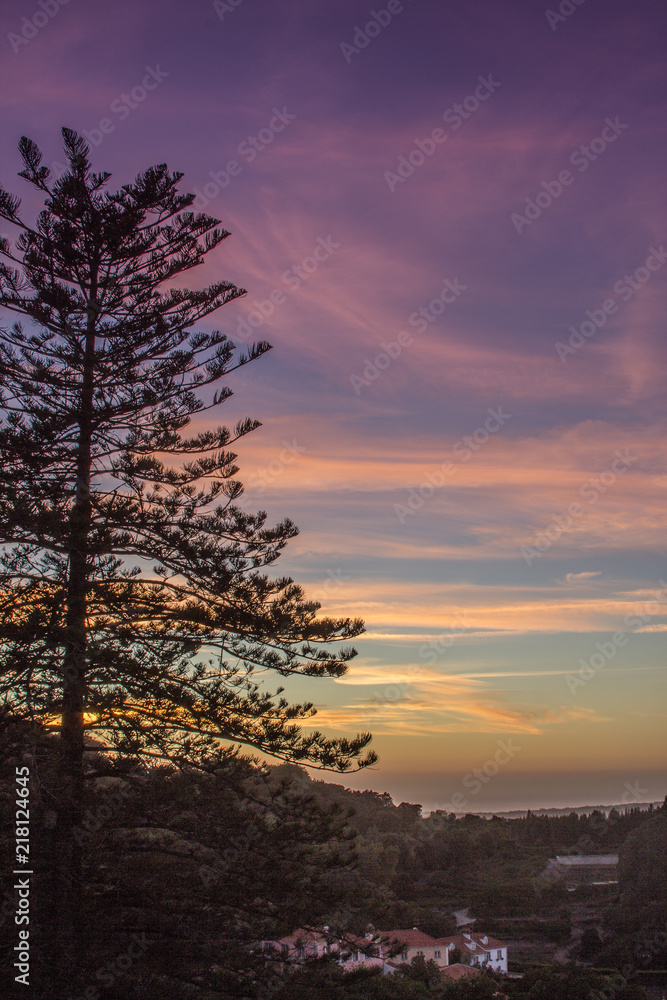 Fototapeta premium Sunset