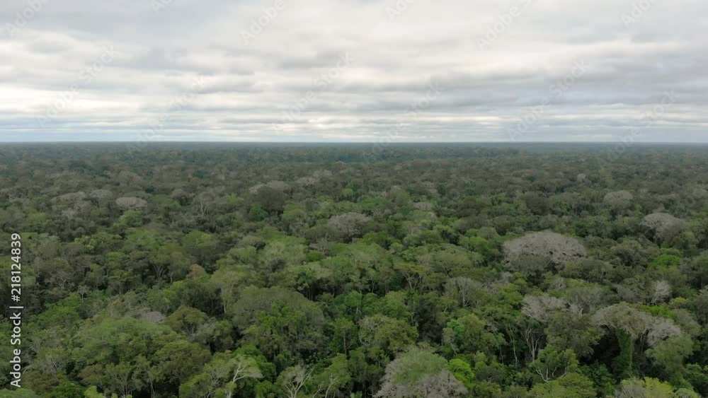 Aerial cinematic view of Amazon rain forest jungle and river. Puerto Maldonado Peru. Drone flying backwards filming horizon above trees and water shore line during cloudy day. Aerial cinematic view of Amazon rain forest jungle and river. Puerto Maldonado Peru. Drone flying backwards filming horizon above trees and water shore line during cloudy day.