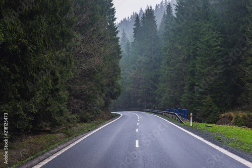Road among old woods in Moravian-Silesian Beskids mountain range in the Czech Republic photo