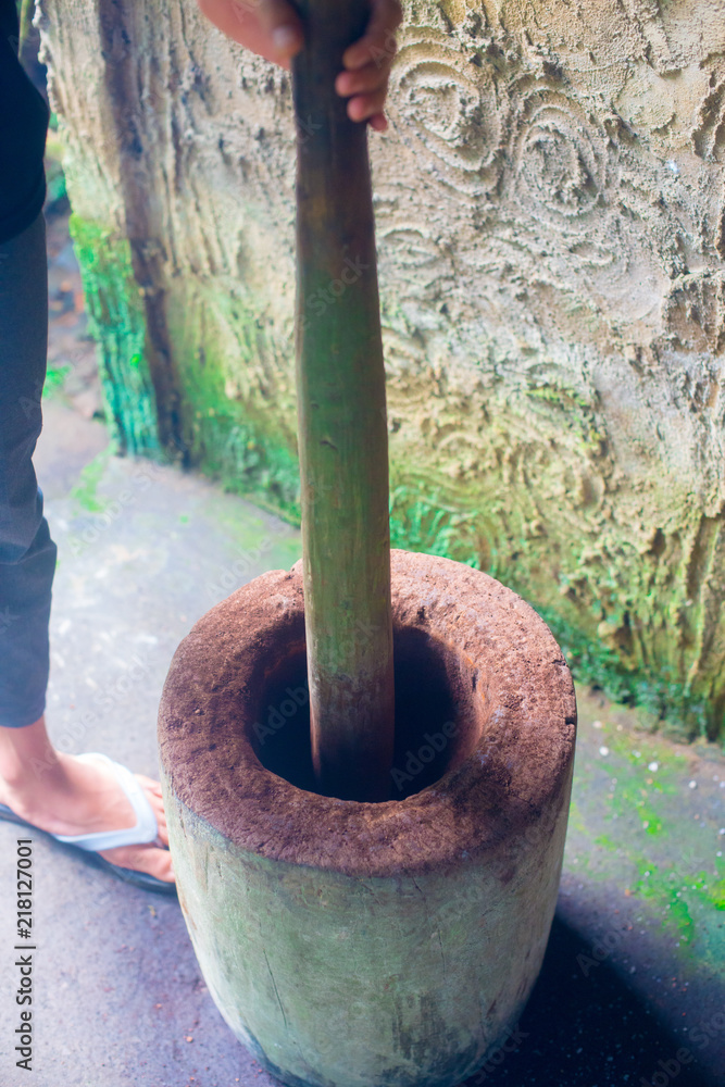 Coffee beans on the tree in Bali, Indonesia. Kopi Luwak is the most