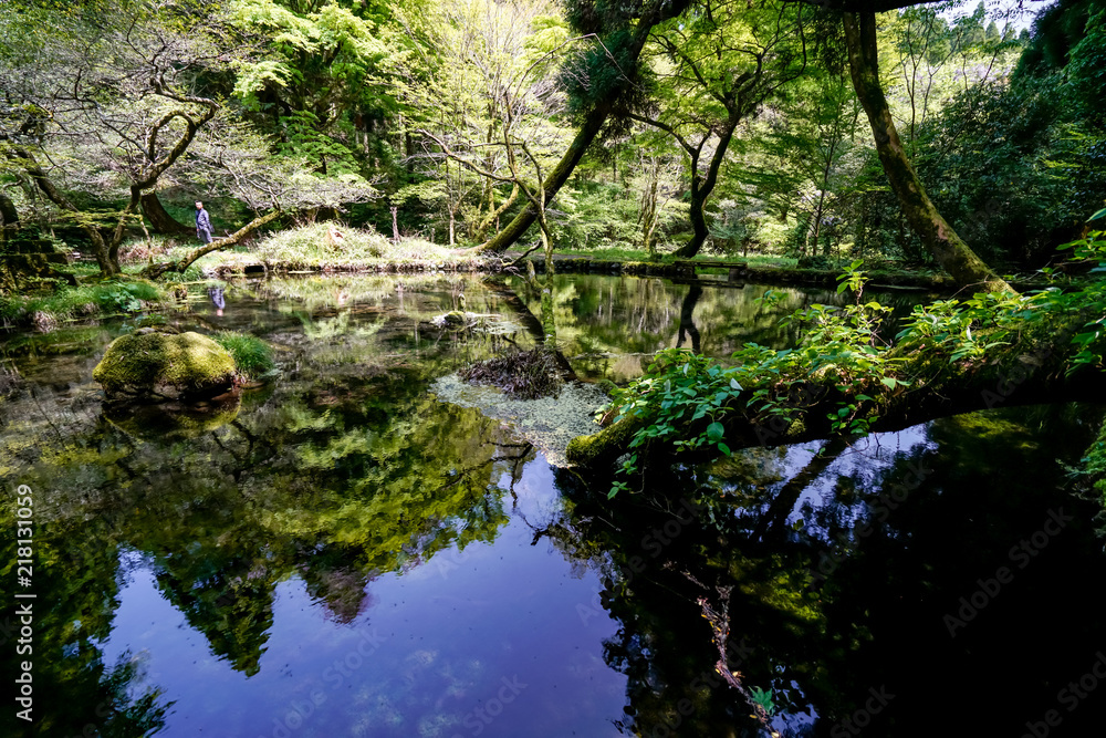 山吹水源 山吹水源