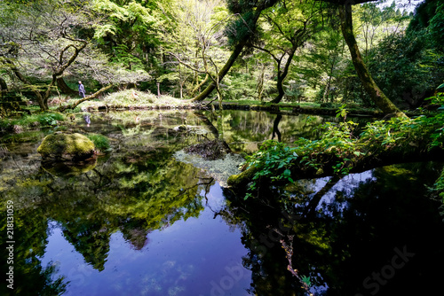 山吹水源