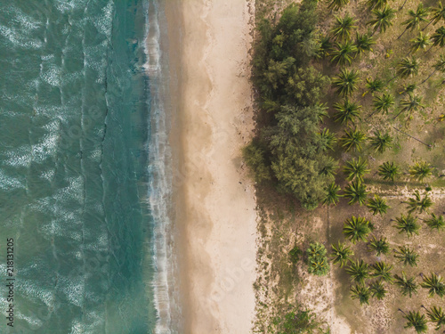 Drone Image – Sea – Beach – Palm Trees