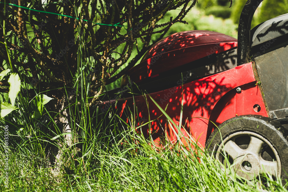 Mowing the grass. The gardener mows the grass with a red electric mower. Work in the garden, spring cleaning. Care for the garden and grass.