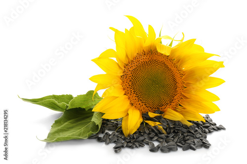 Fototapeta Naklejka Na Ścianę i Meble -  Sunflower with leaves and seeds on white background