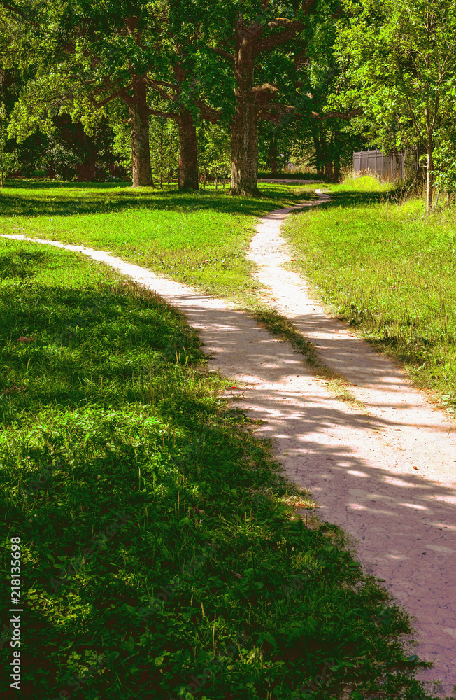 The divergence of paths in different directions The divergence of paths in different directions