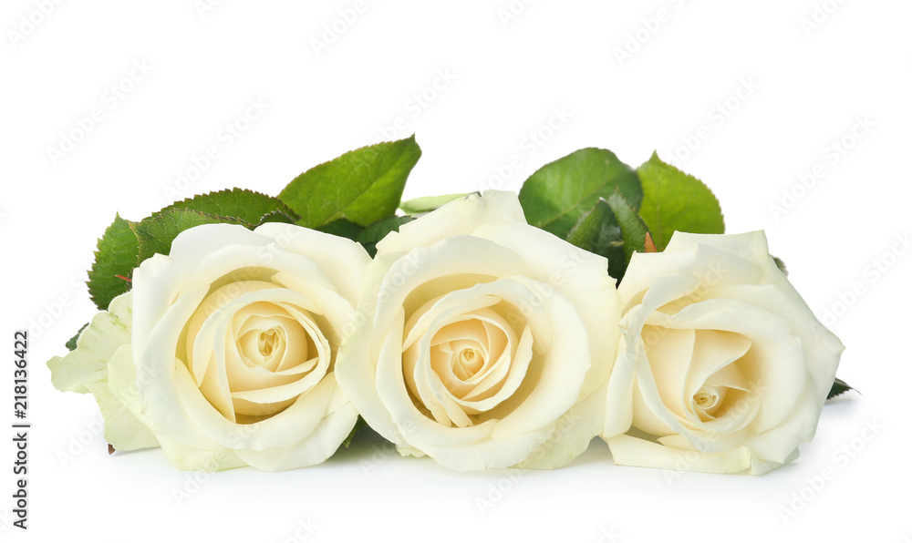 Fototapeta premium Piękne świeże róże na białym tle. Symbol pogrzebu