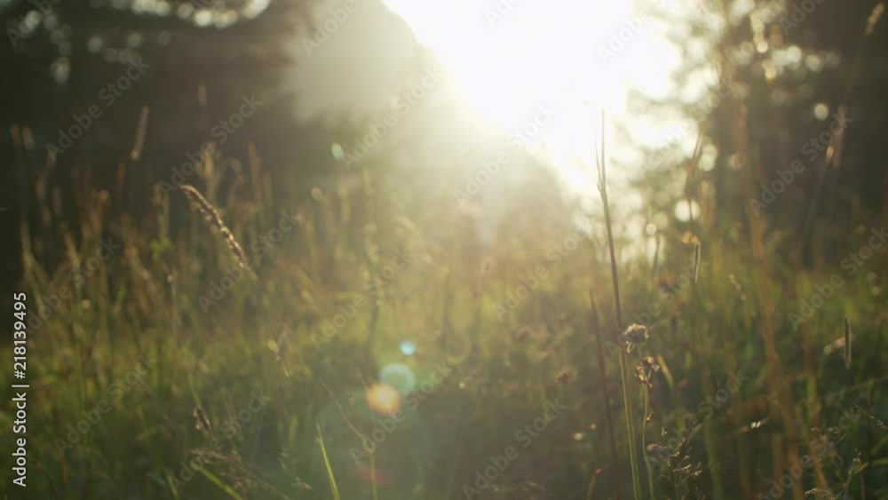 young couple hiking toward camera in a mountain area in sunset young couple hiking toward camera in a mountain area in sunset