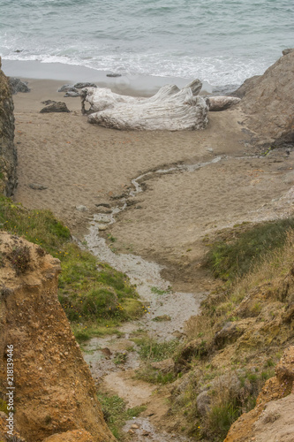 Brook flowing towards driftwood and sea