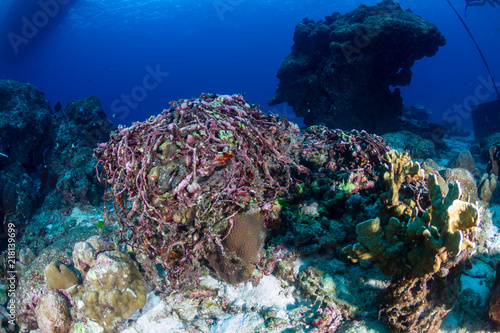 Fototapeta Naklejka Na Ścianę i Meble -  An abandoned fishing net entangled on a tropical coral reef