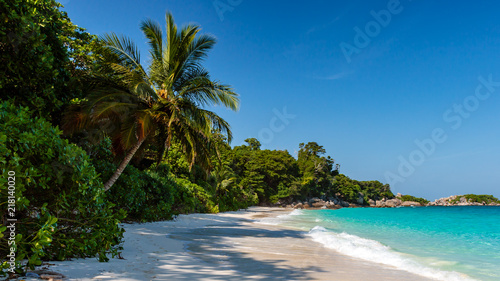 A beautiful, deserted, tropical sandy beach and lush green foliage