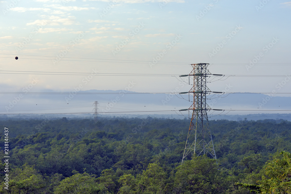 Electricity distribution tower in the Atlantic Forest