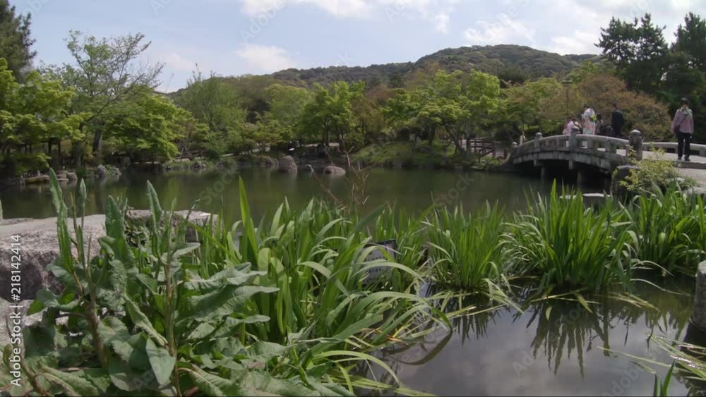 View over a japanese garden with a bridge and water. View over a japanese garden with a bridge and water.