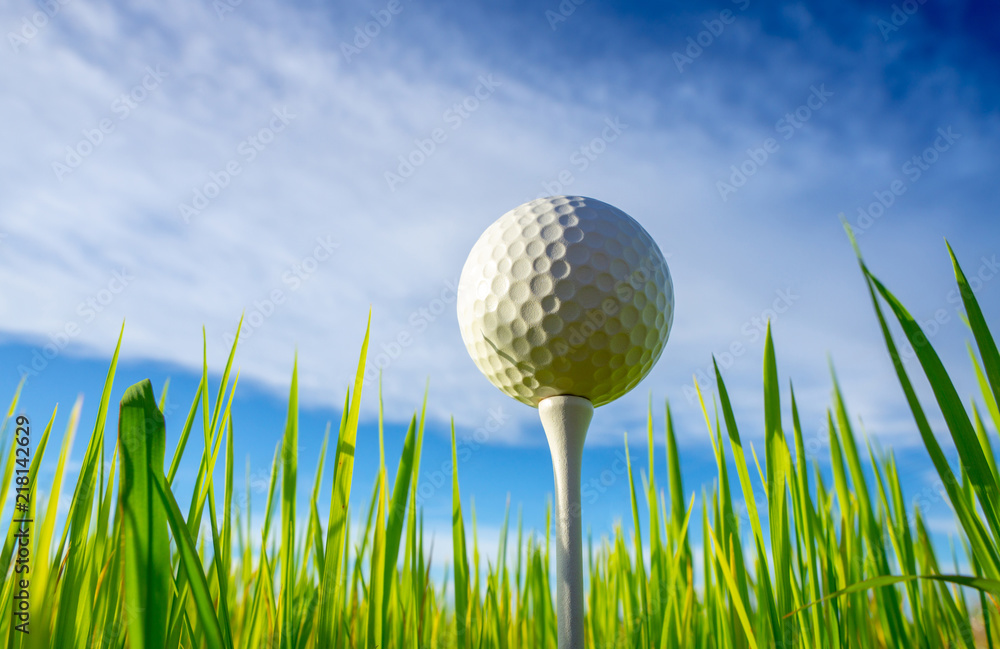 ant view, close up the golf ball on tee pegs ready to play with sky background ant view, close up the golf ball on tee pegs ready to play with sky background