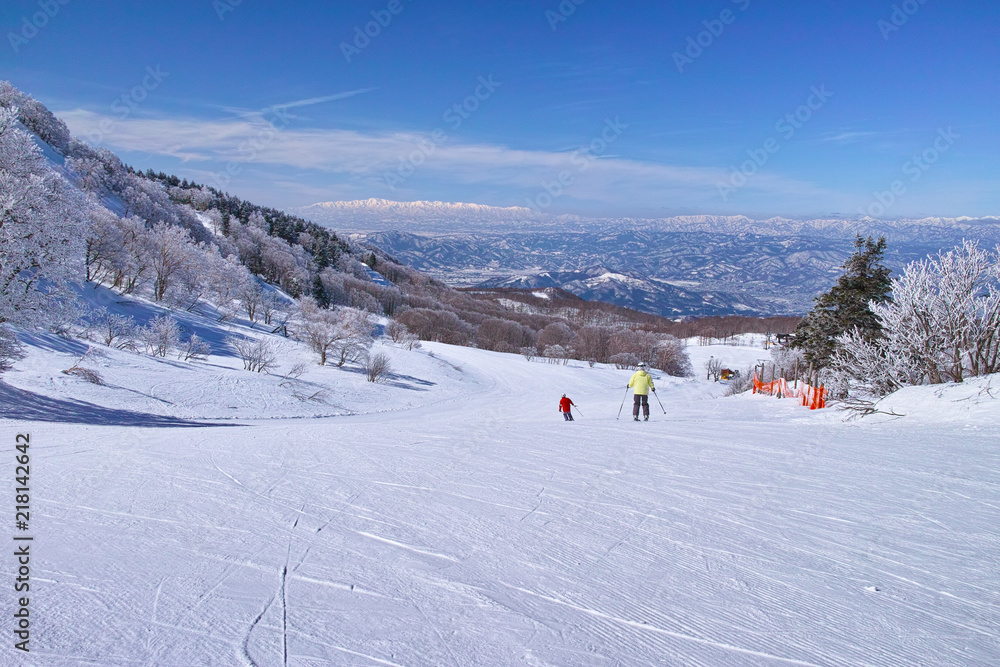 ゲレンデを滑走するスキーヤー
