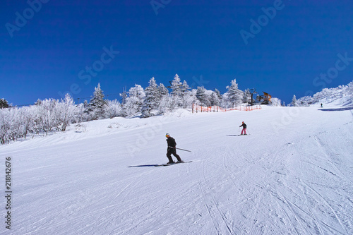 ゲレンデを滑走するスキーヤー