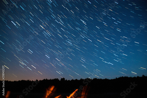 A view of the stars of the Milky Way with a trees in the foreground. Perseid Meteor Shower