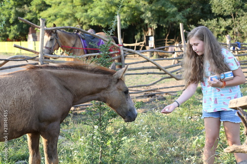 Active young girl with long hair feeds a horse on the background of grass, greenery and horses. Animal love concept