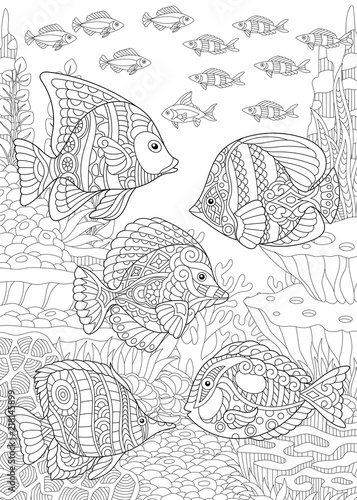 Coloring Page. Coloring Book. Colouring picture with tropical fishes. 