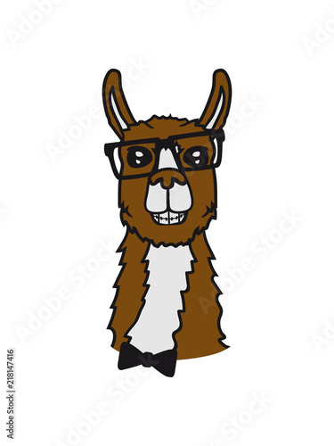 Gesicht Kopf Nerd Geek Freak Hornbrille Lama Kamel Alpaka Sudamerika Tier Suss Niedlich Comic Cartoon Clipart Stock Illustration Adobe Stock