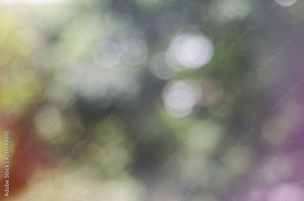 Obraz premium blur light background green park