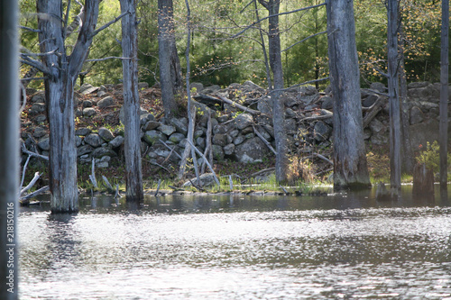 Rock wall on small lake in Loudon, New Hampshire photo