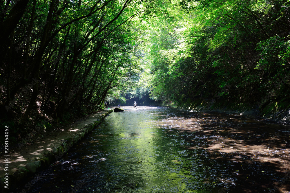 Obraz premium 岳切渓谷