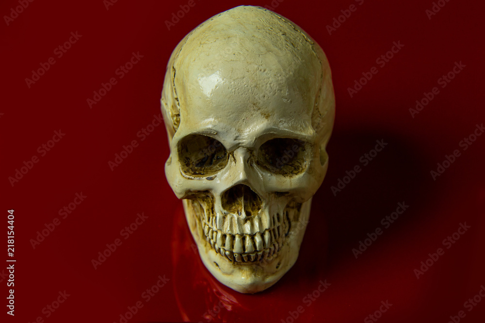 Obraz premium The skull on red background glossy abstract image.