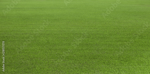 Green grass field, green lawn. Green grass for golf course, soccer, football, sport. Green turf grass texture and background for design with copy space for text or image. photo